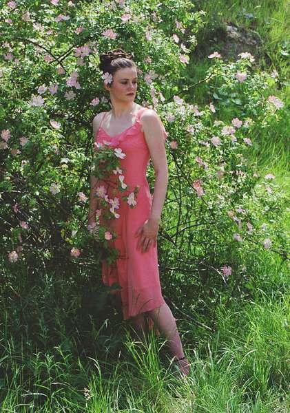 Laura Jane - English Rose
