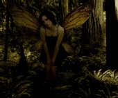Ruby Rosso - Fairy