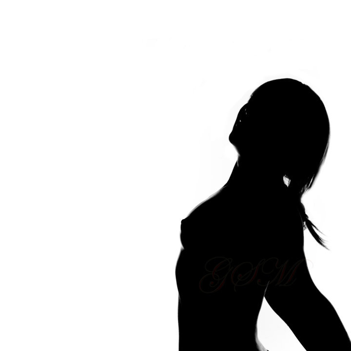 TehSerendipity - silhoutte