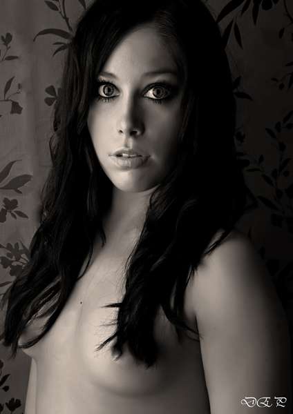 gemma031