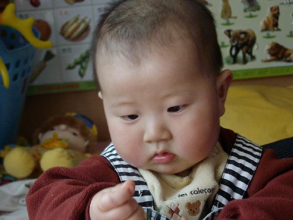 Hongyi Zhang