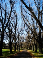 G I M production house