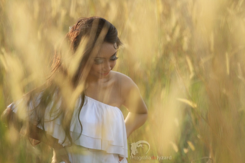 Fotografia De Lyzard