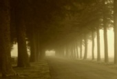 Ken_Hansen