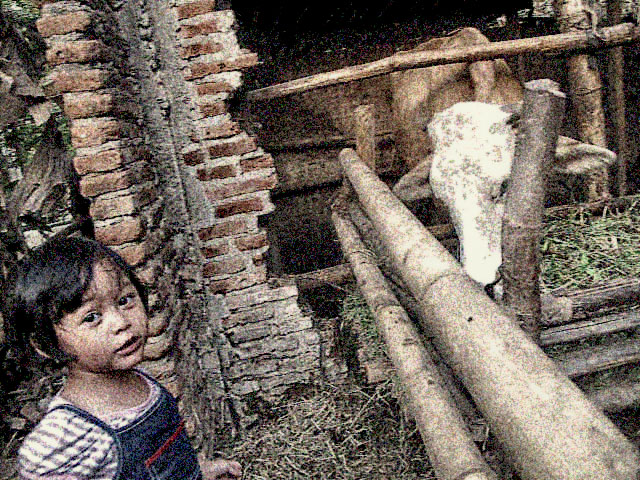 Respati Chemengan - cow n kid