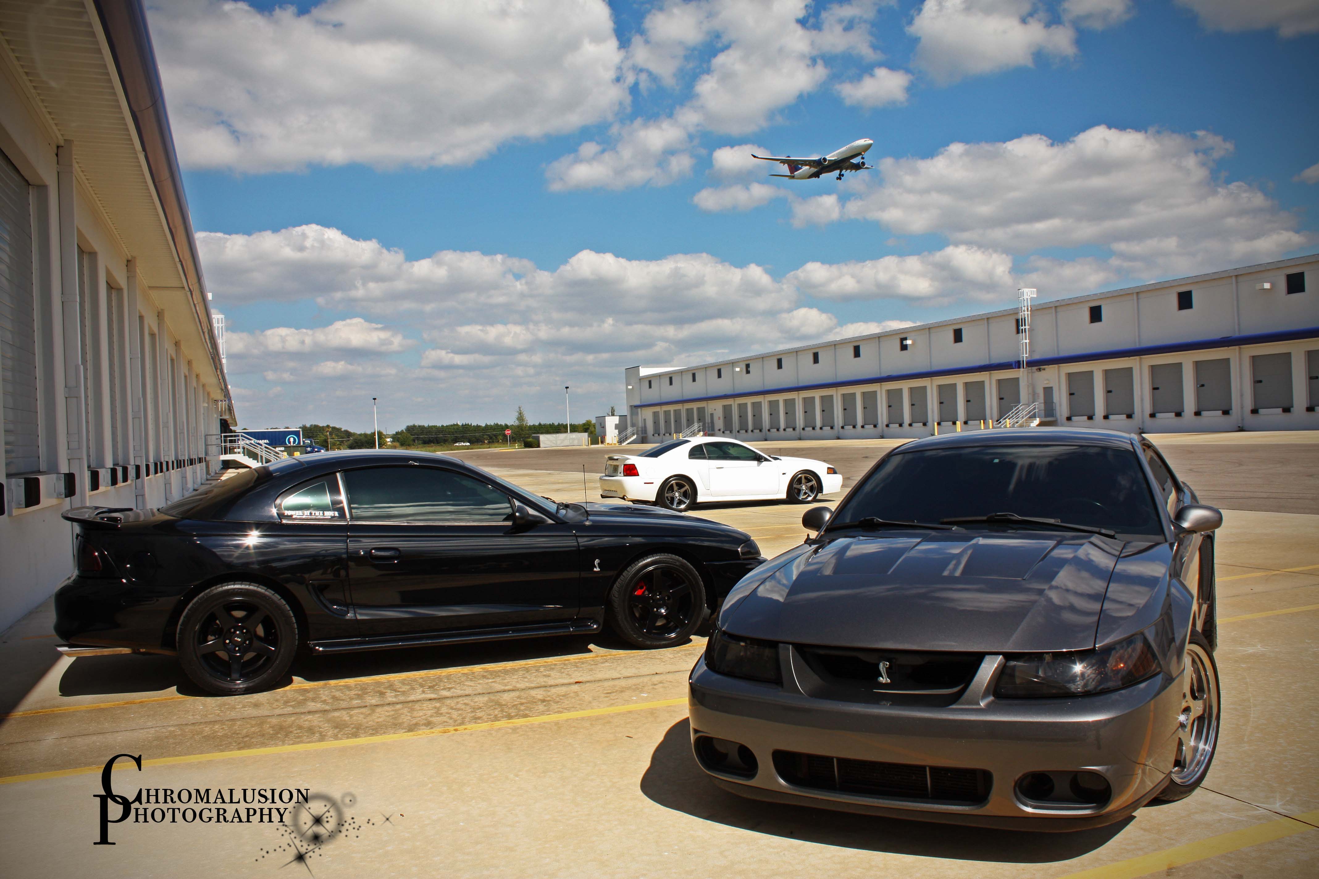 Chromalusion Photography - Cobra's