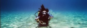 Carsten Wolff - touch down! - newbie diver