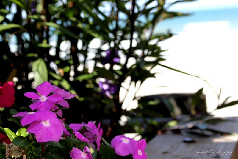 Transcend Photography