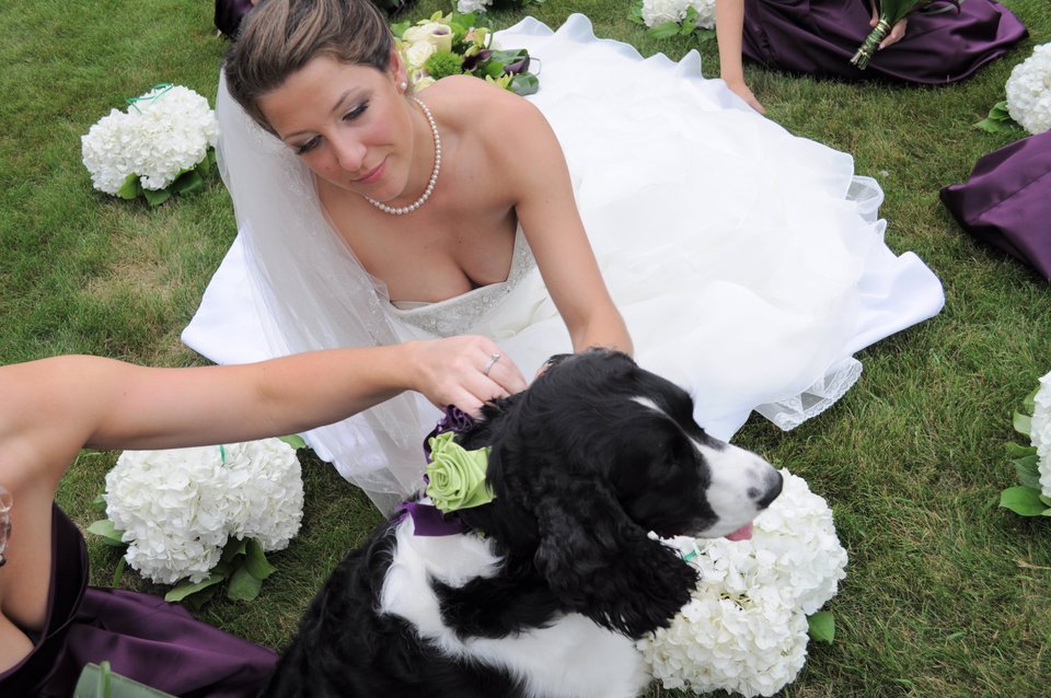 rob Cruickshank - Teel wedding-2011-brides ring bearer