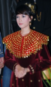 tendoushouji - Pagar Ayu Pengantin