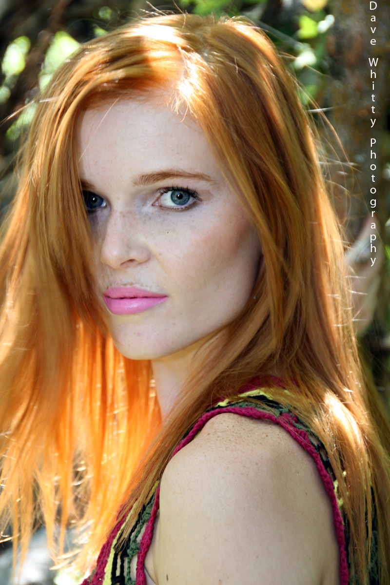 Dave Whitty Photography