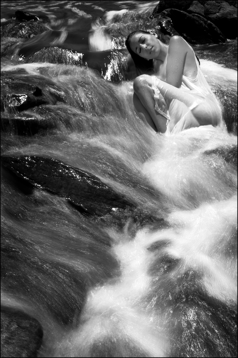 SimonDallingPhotography