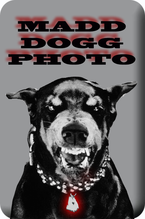 Madd Dogg Photo 
