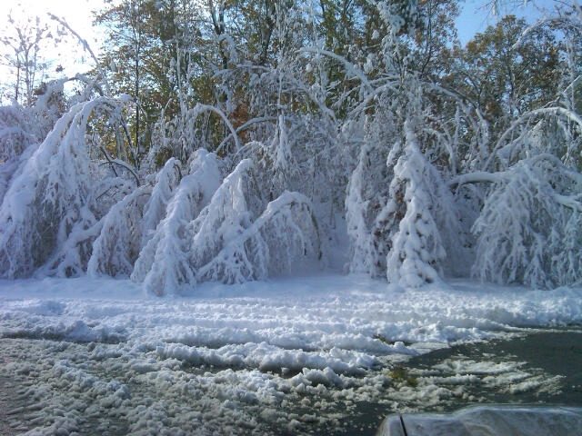 Max Thomas - Snowy Day