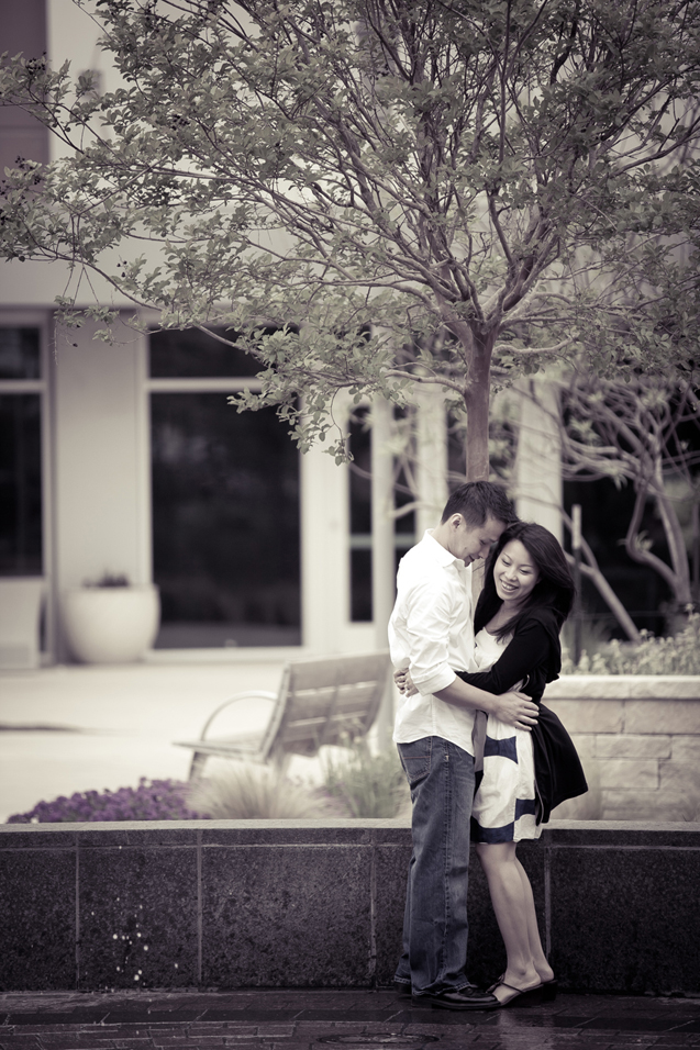 Toan fotography