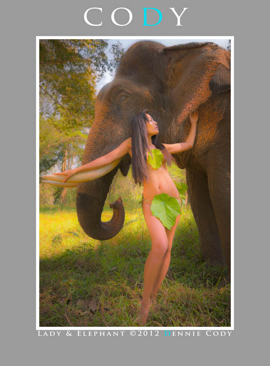 dcdk-DK  Dennie Cody