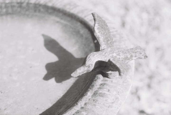 Rustic Ray Photography