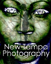 New Tampa Photography