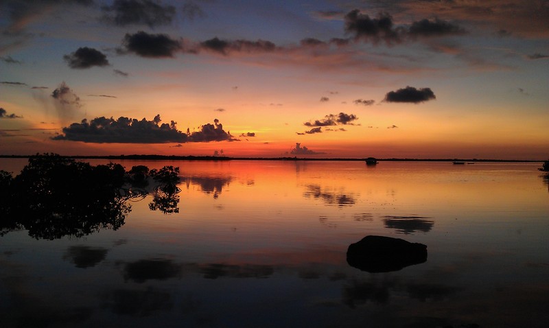 scott pillar - mirror image