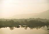 Patrick - Reflection in Franciacorta