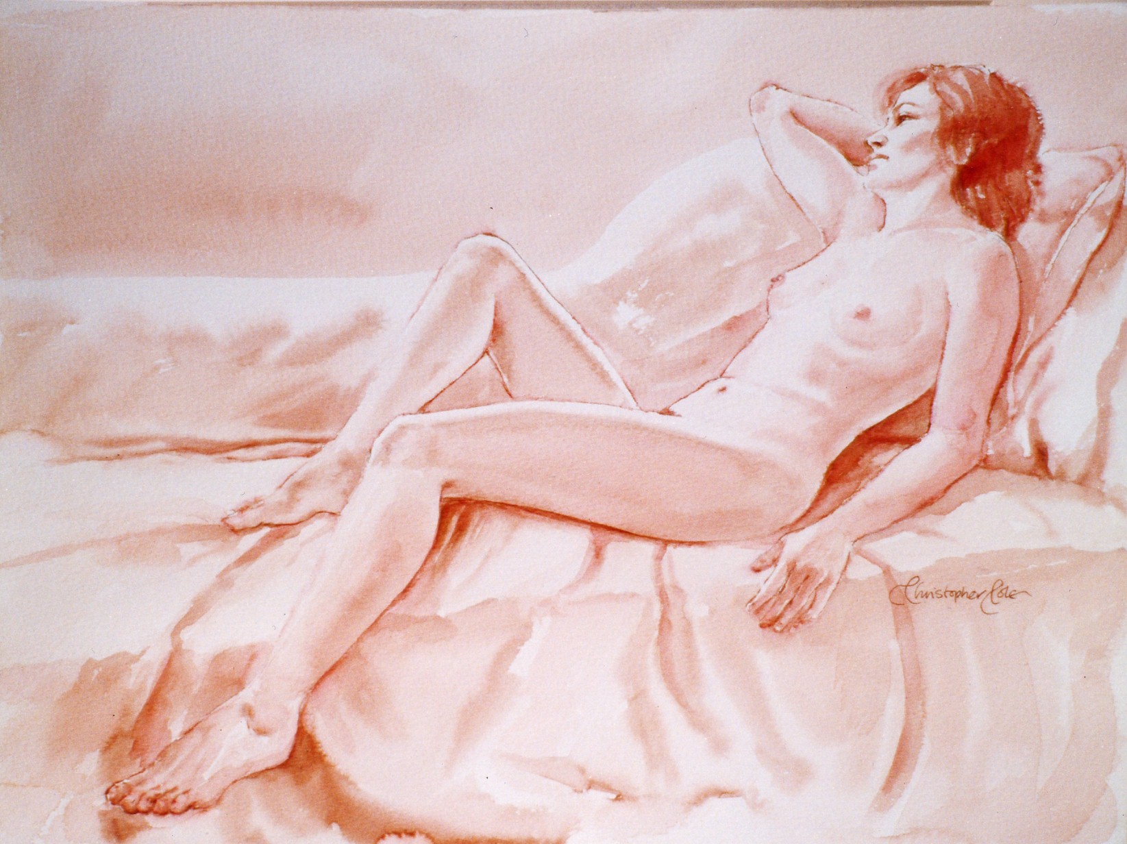 Christopher Cole - Recollection