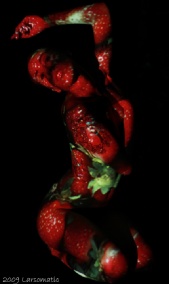 Dancinginthelight
