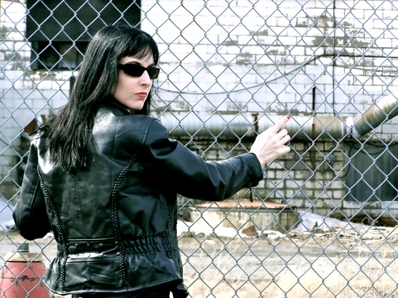 GreatWhiteNorthStudio