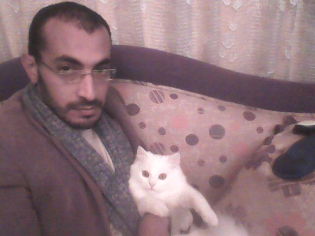 haysam ali