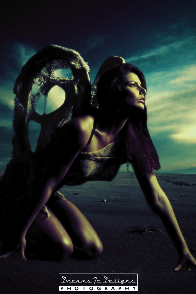 Dreams to Designs Photo