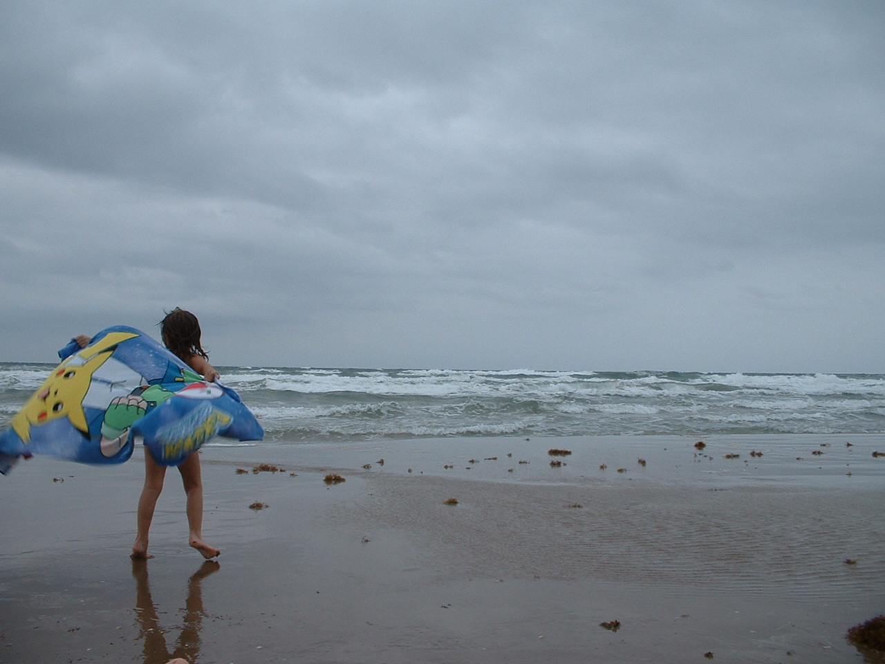 Brian Joiner - stormy beach