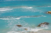 Brian Joiner - Blue Mexico