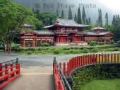 prophasephoto