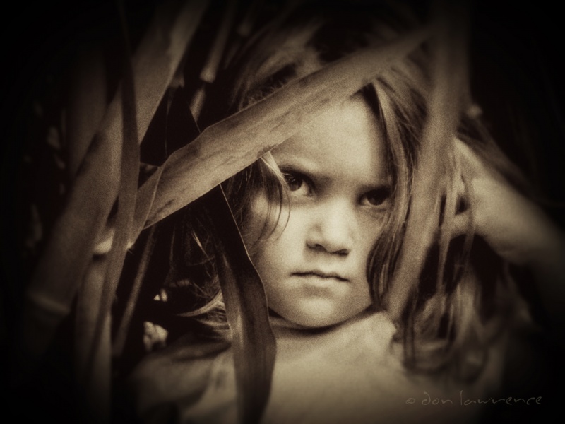 don lawrence photograph