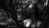 pSyce pHotography