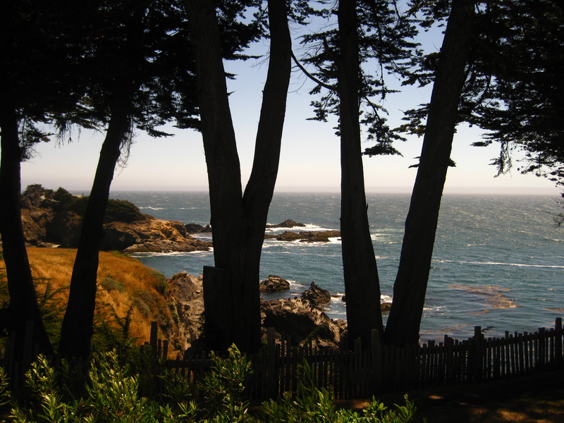 Paul Homburger - Sea Cove