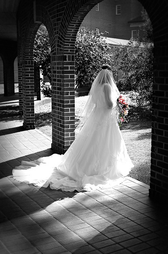 Knightflyer Photography