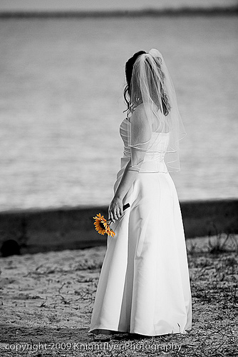 Knightflyer Photography