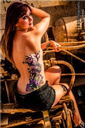 T3 Photography
