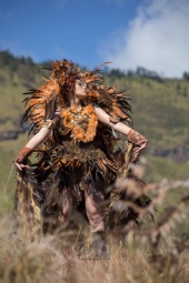 Nanto Photography - Warrior