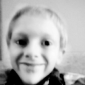 dawsonspeagle@gmail.com