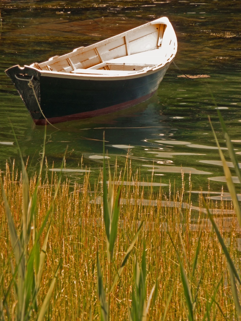 The Seacoast Studio