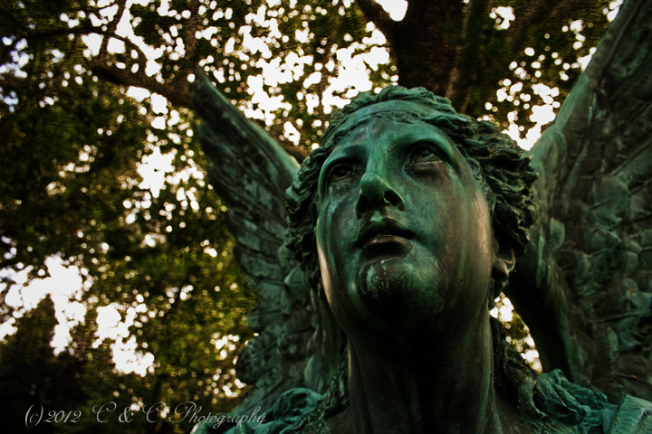 Lynette Callahan - Cemetery Angel