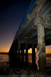 Dumbarton Bridge - San Francisco