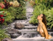 Beauty at the falls